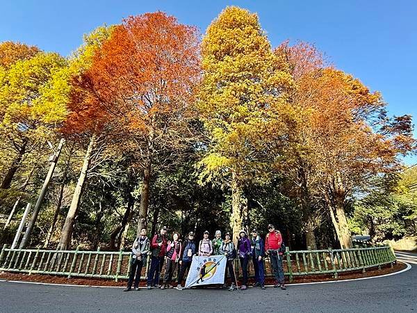 20250104 九芎湖觀賞落羽松、峨眉湖環走十二寮步道