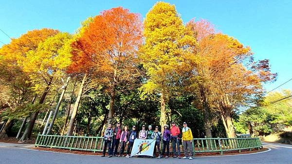 20250104 九芎湖觀賞落羽松、峨眉湖環走十二寮步道