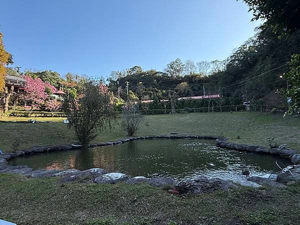 20250104 九芎湖觀賞落羽松、峨眉湖環走十二寮步道