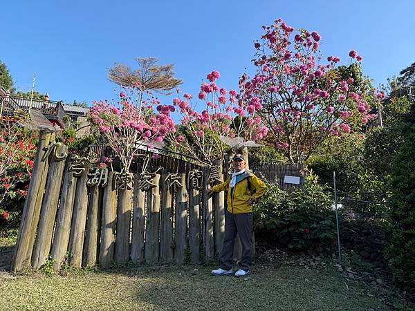 20250104 九芎湖觀賞落羽松、峨眉湖環走十二寮步道