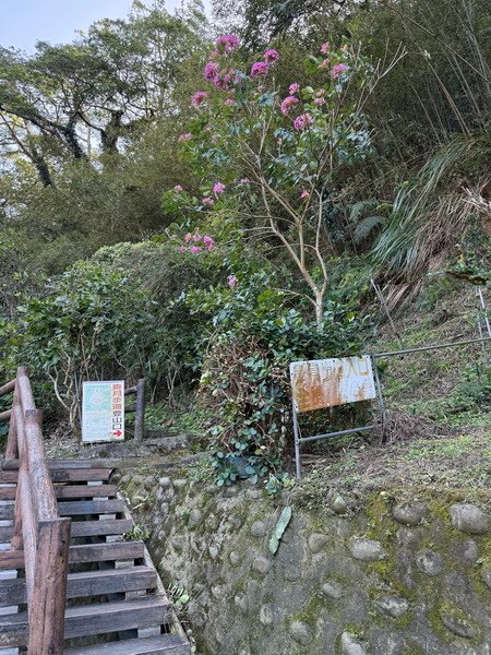 20250104 九芎湖觀賞落羽松、峨眉湖環走十二寮步道