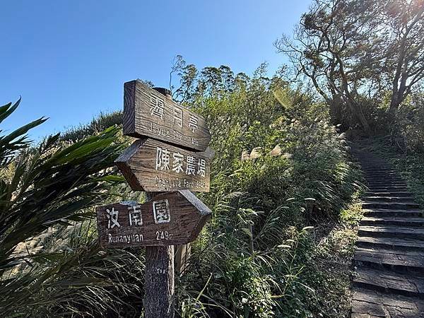 20250104 九芎湖觀賞落羽松、峨眉湖環走十二寮步道