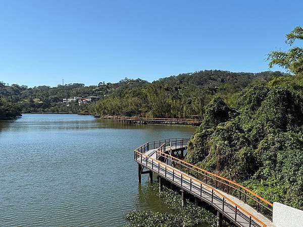 20250104 九芎湖觀賞落羽松、峨眉湖環走十二寮步道