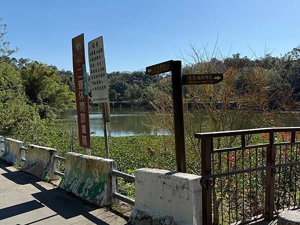 20250104 九芎湖觀賞落羽松、峨眉湖環走十二寮步道