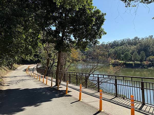 20250104 九芎湖觀賞落羽松、峨眉湖環走十二寮步道