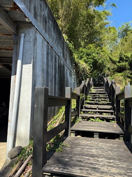 20250104 九芎湖觀賞落羽松、峨眉湖環走十二寮步道