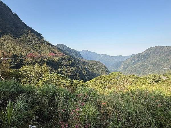 20250220 青山坪咖啡農場