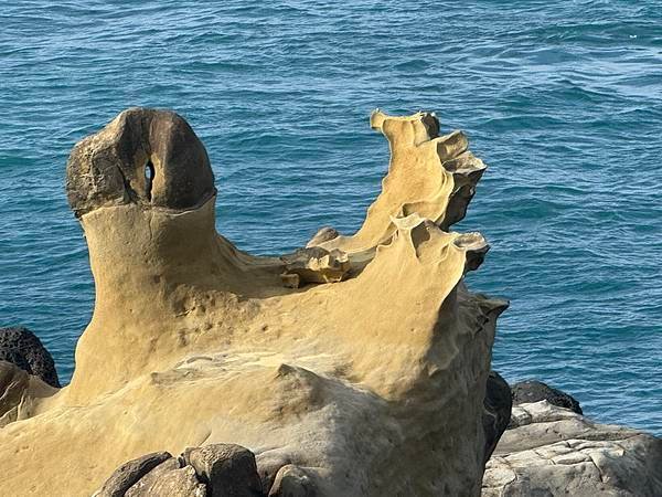 20250228~0302 走讀基隆：八座砲台、四座小百岳