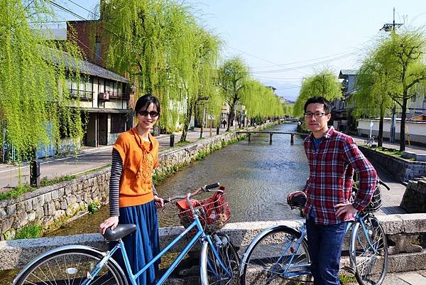 除了櫻花 白川也有垂柳 (腳踏車之旅令人難忘)