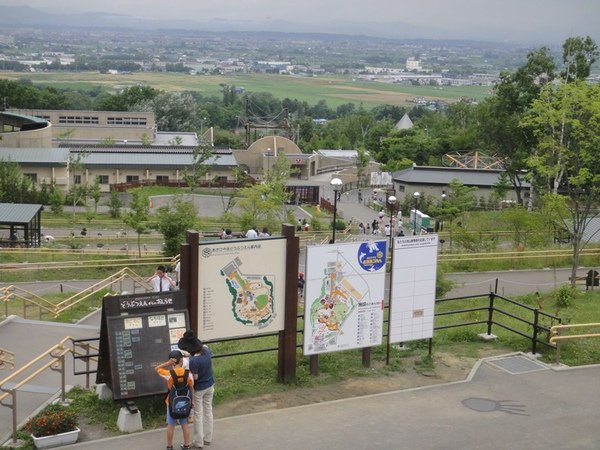 旭山動物園其實還蠻迷你的 但是一定要來看可愛的北極熊的啊！