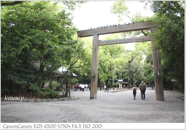 4-照片 1293.jpg