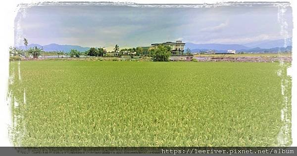美濃吉東農地