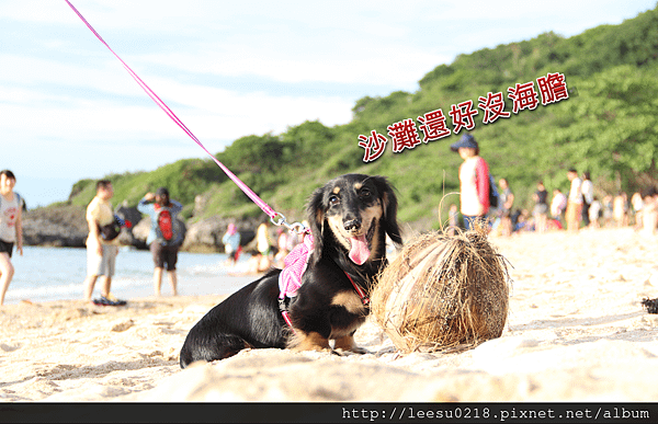 小6.png
