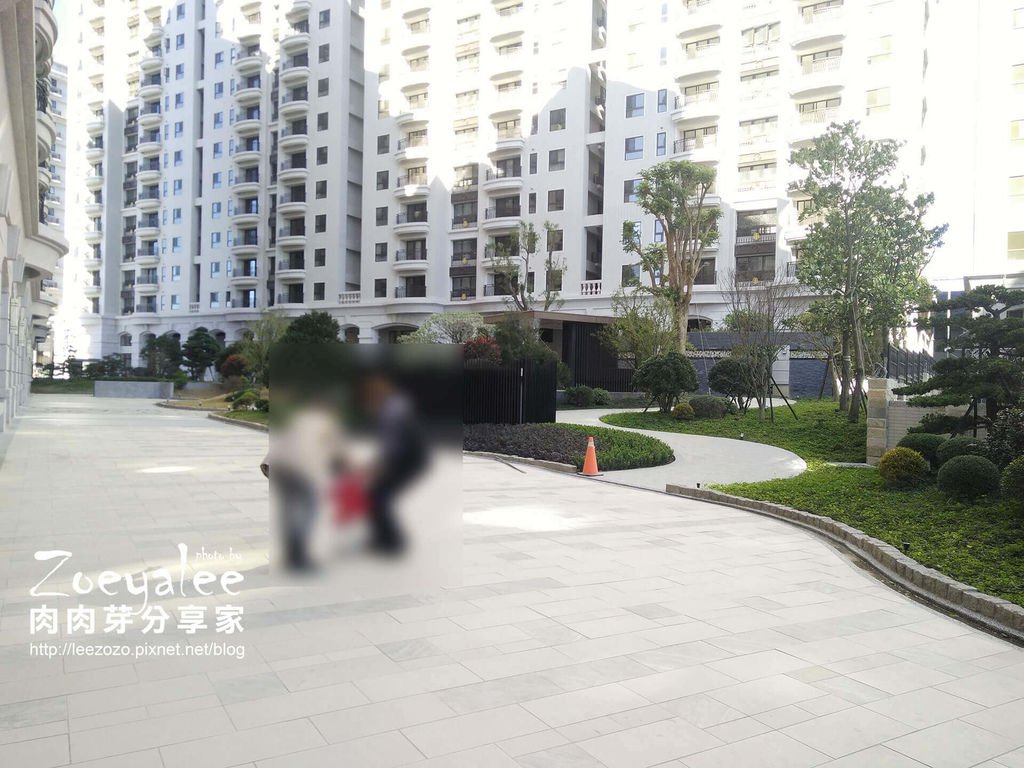 中庭 (2).jpg