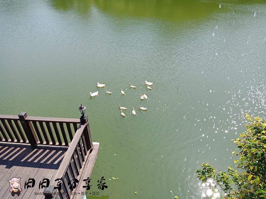 新竹北埔峨嵋美食餐廳-峨嵋湖綠光水岸@肉肉芽分享家©攝影