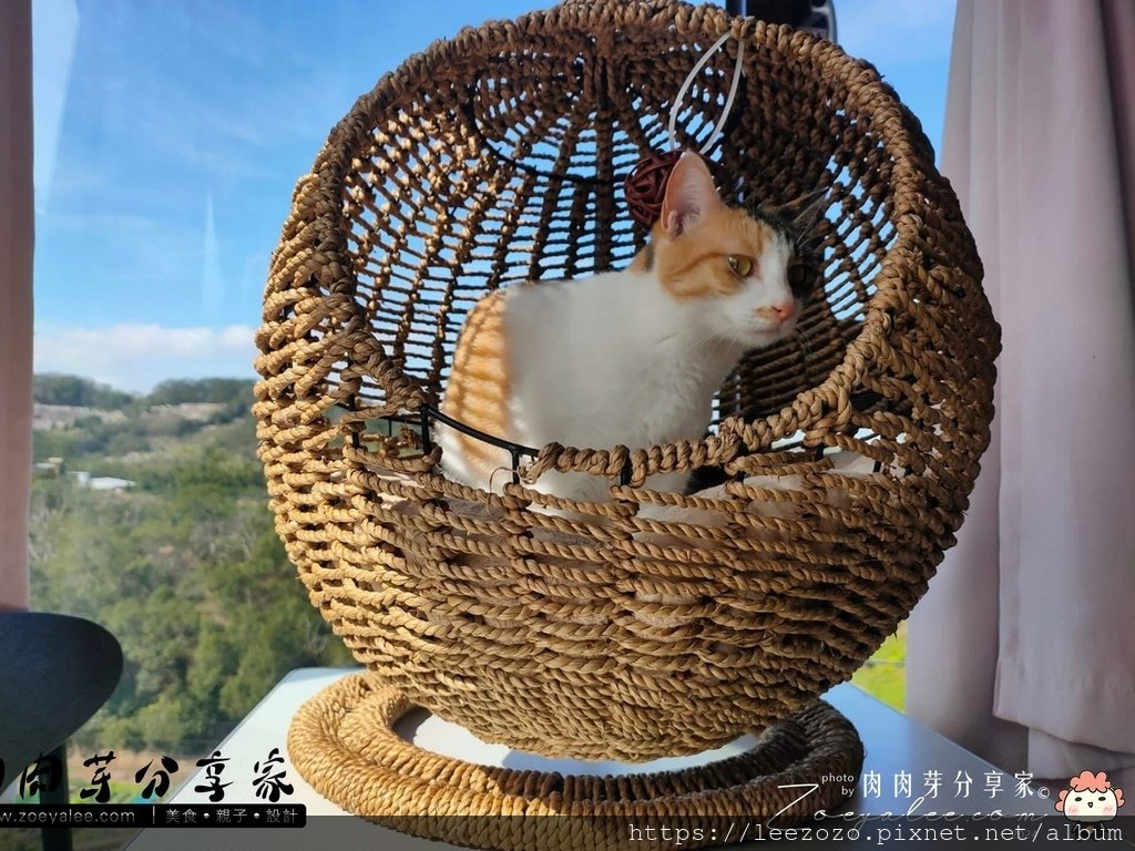 貓咪餐廳_220226_19-拷貝.jpg