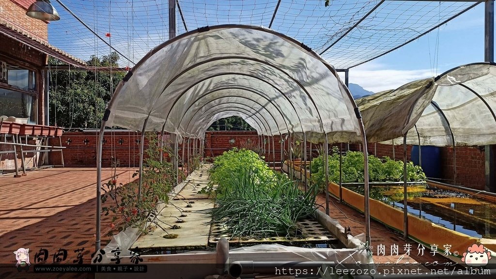 北埔_月嵋莊_肉肉芽分享家-10.jpg