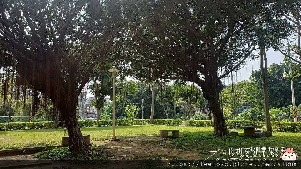 桃園親子景點-蘆竹兒三環保公園/近大竹國小、蘆竹幼兒園南竹分
