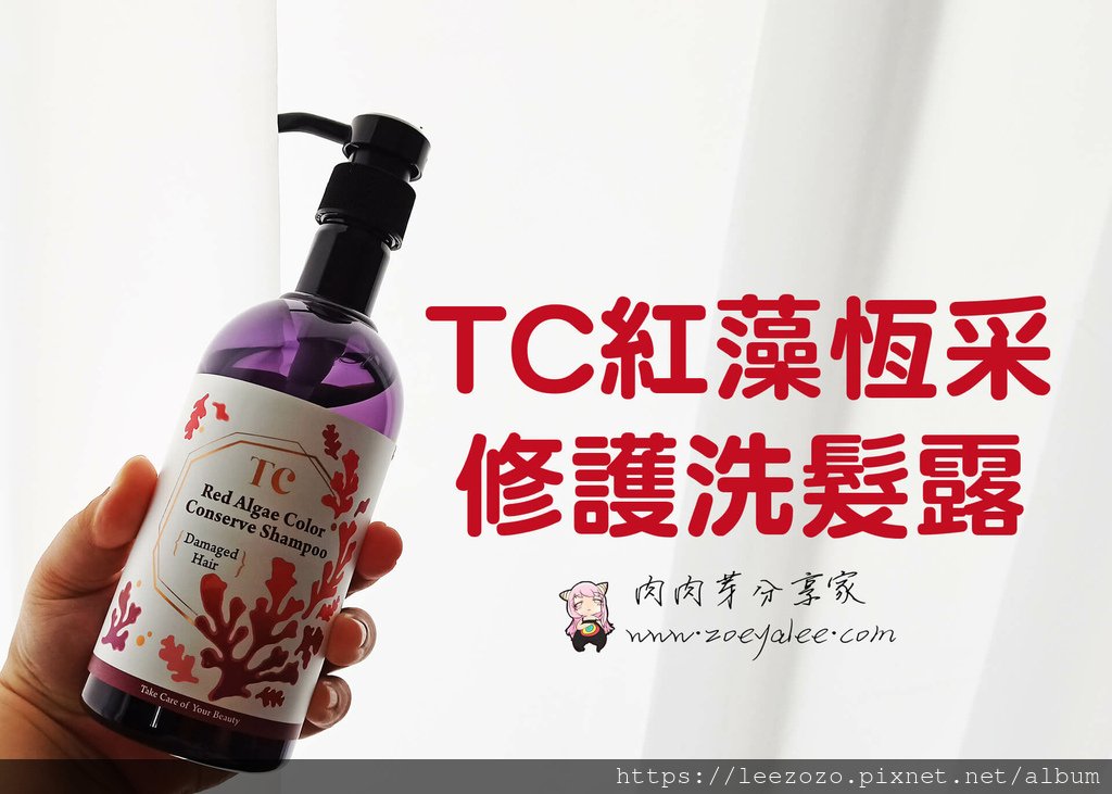 【宅配】TC紅藻恆采修護洗髮露|洗完頭皮清爽隔天也不油膩、自