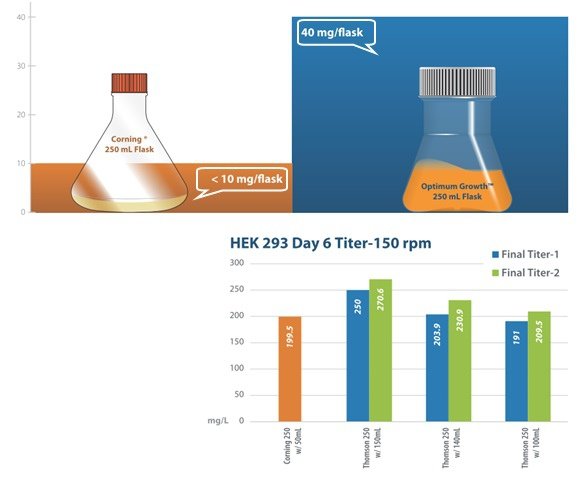 Thomson Flask-04.jpg