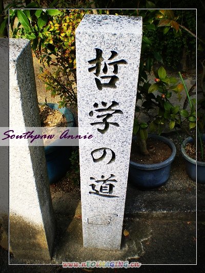 IMGP0509.JPG