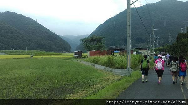 往小火車走去的鄉間小路