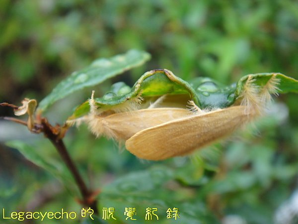 DSC09821.jpg