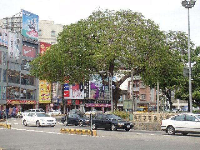 DSC08311.JPG