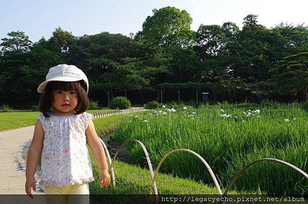 10花蒼蒲田八橋05.jpg