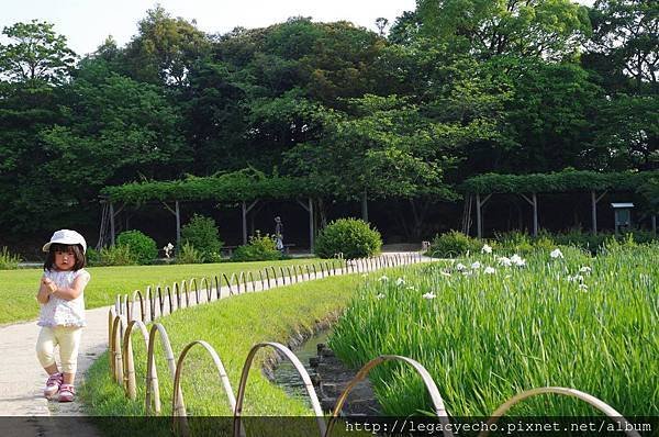 10花蒼蒲田八橋06.jpg