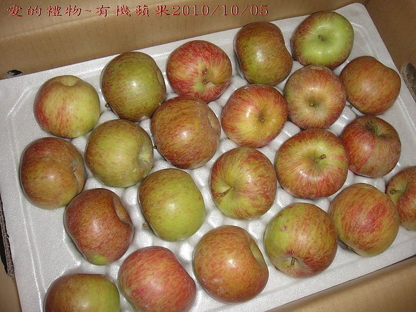 01DSC08847.jpg