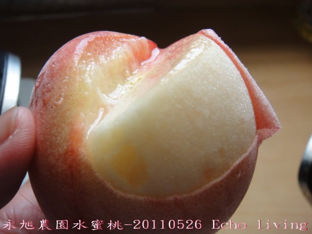 06DSC09054.jpg