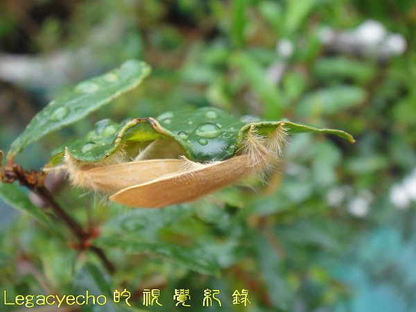 DSC09822.jpg