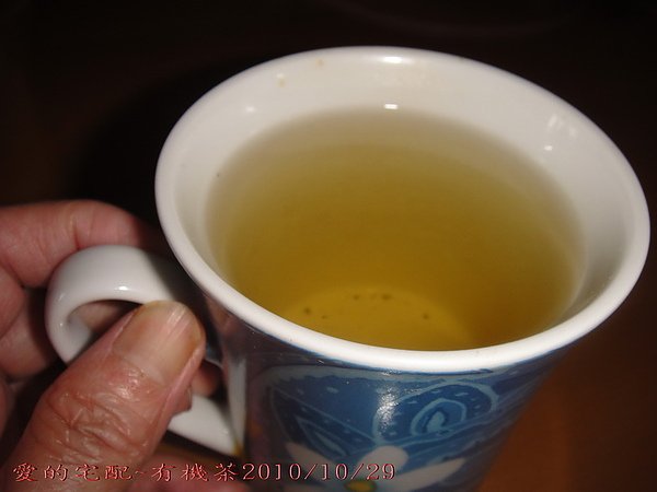 06DSC09041.jpg
