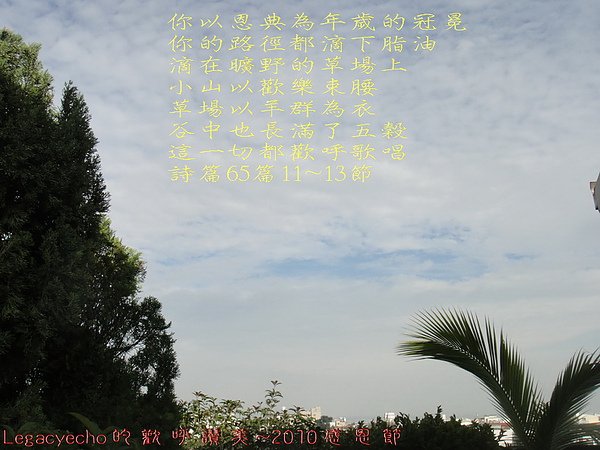 01DSC09133.jpg