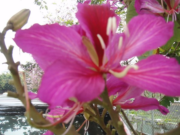 DSC07727.JPG