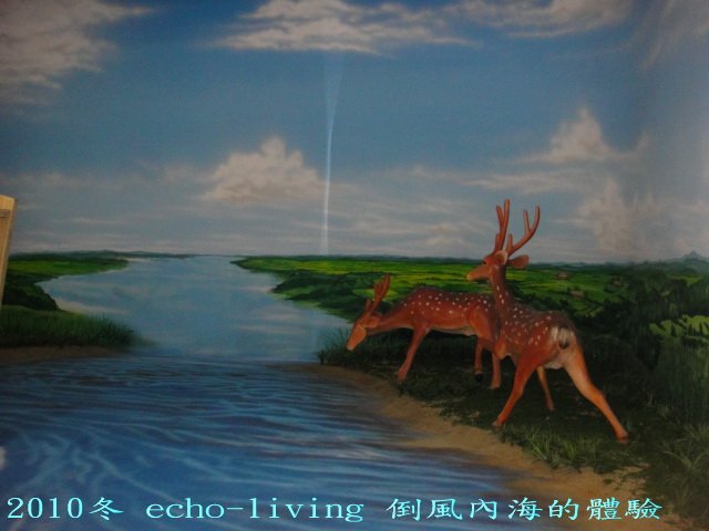 02DSC09585.jpg