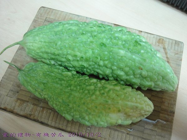 05DSC08811.jpg
