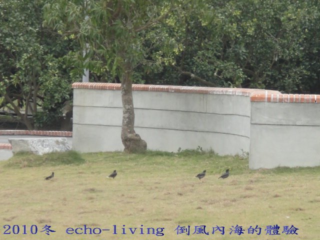 12DSC09579.jpg