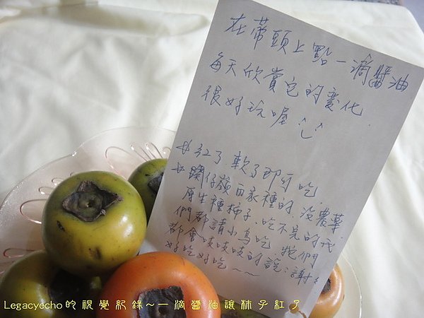 02DSC08808.jpg