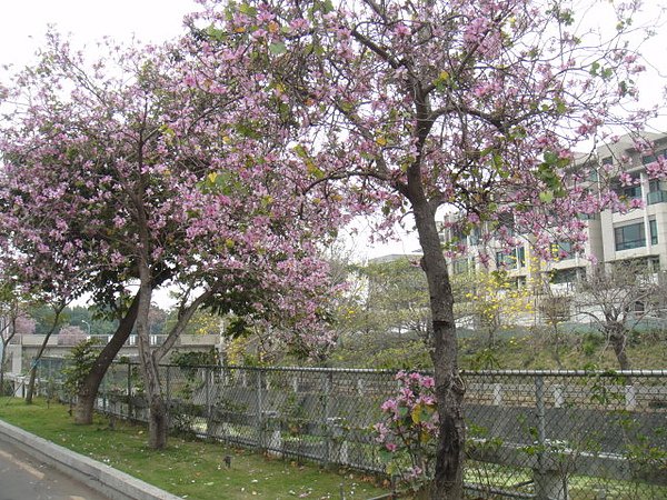 DSC07732.JPG