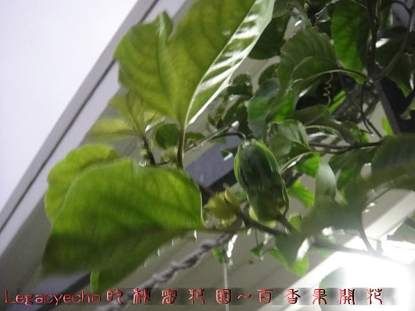 00DSC09422.jpg