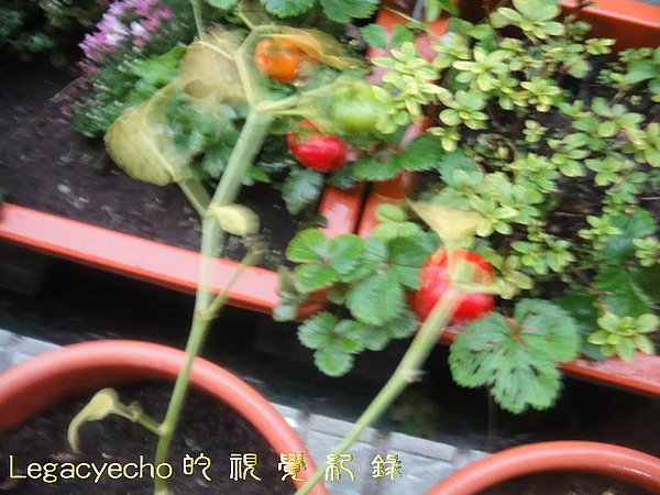 DSC09418.jpg