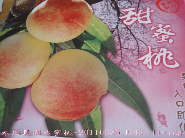 02DSC09049.jpg