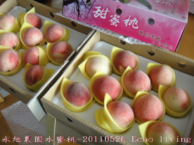 04DSC09051.jpg