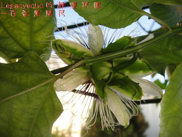 08DSC09461.jpg