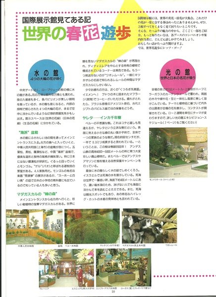 大阪花博國際展示館02.jpg