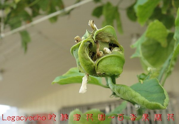 11DSC09035.jpg