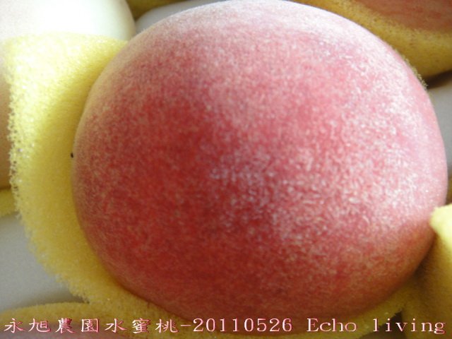05DSC09053.jpg