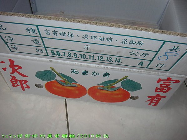 03DSC09074.jpg